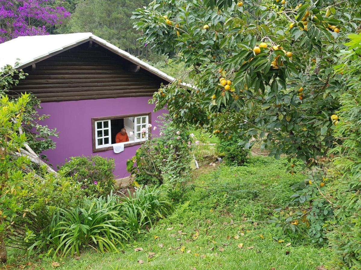 Vale Das Maritacas Teresopolis Villa Exterior photo